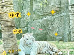 -北京野生动物园