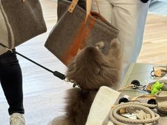 -乐蓬马歇百货公司(Rive Gauche)