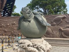 -广东惠东海龟国家级自然保护区