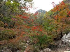 -大连天门山国家森林公园