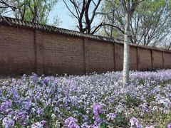 -坝河休闲公园