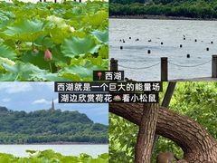 -李犟大爆鳝面·手工蟹黄包(湖滨西湖店)