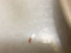 -嘉丰湘菜馆(芳群园店)