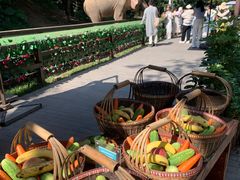 -野象谷景区