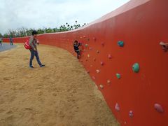 -春花秋色城市公园