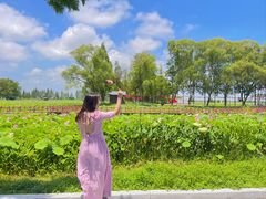 -洪湖生态旅游区