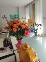 -Dr.林醫生产后修复·配方产康店(南京大厂店)