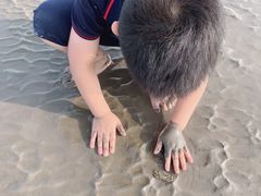 -南汇嘴观海公园