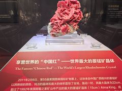 -湖南省地质博物馆