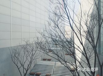 魔都滨江沿线风景独好。 偶遇的美术馆，二楼的宝藏景观