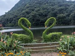 -广州市石门国家森林公园