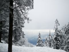 -瓦屋山景区