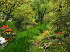 -上海共青森林公园