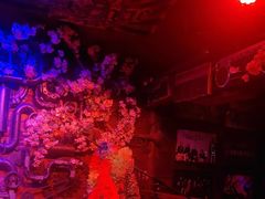 -周庄红庭演艺酒吧