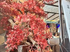 -上地宴·中关村的会客厅(清河高铁站店)