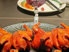 -三强鸽子(中原路店)
