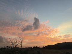 -鲨鱼美式餐厅酒吧Sharky