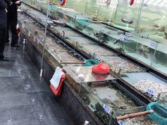 -新海利海鲜城·41年珠海老字号(夏湾店)