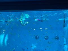 -汉堡王(海昌海洋公园店)