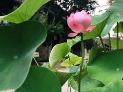 -回龙窝历史文化街区