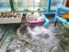 -班赞海鲜市场