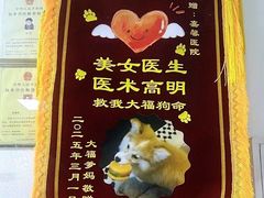 -嘉馨宠物医院·CT影像转诊·心脏科·犬猫全科诊疗中心(下沙大学城院区)