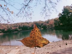 -紫霞湖公园
