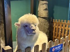 -重庆欢乐海底世界