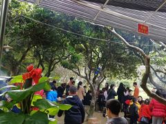 野外自助烧烤+野炊-荔枝园美食山庄(贞山风景区店)