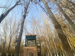 -艾提尕尔清真寺