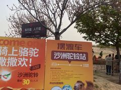 -古柏渡丰乐樱花园