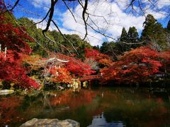 -醍醐寺