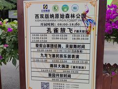 -西双版纳原始森林公园