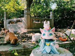 -潭柘寺景区