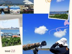 -南汇嘴观海公园