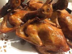 -旺金鸽(穗盐路总店)