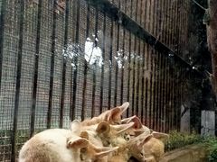 -昆明动物园