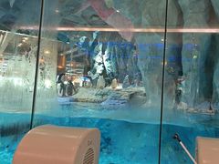 -帝企鹅自助餐厅•儿童岛•真企鹅(长隆企鹅酒店)