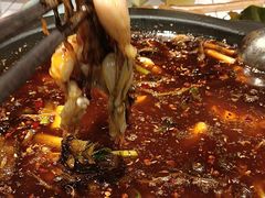 -费明中罗非鱼(大石坝店)