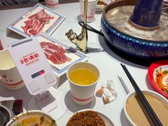 -董记老清泉·鲜切涮羊肉(窑岭店)