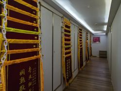 -敦南舒悦月子会所(南湖店)
