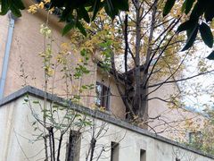 -颐和路民国时期公馆风貌区
