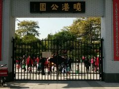 -晓港公园