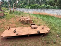 -海南热带野生动植物园