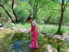 -碓臼峪自然风景区