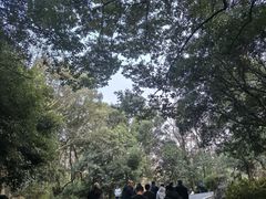 -潜山国家森林公园