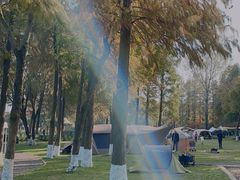 -上海美帆帆船露营基地