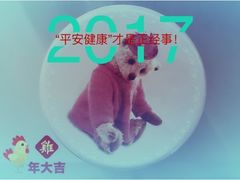 -珍妮曲奇聪明小熊(尖沙咀店)