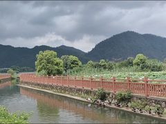 -罗坑大草原