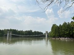-东湖落雁景区